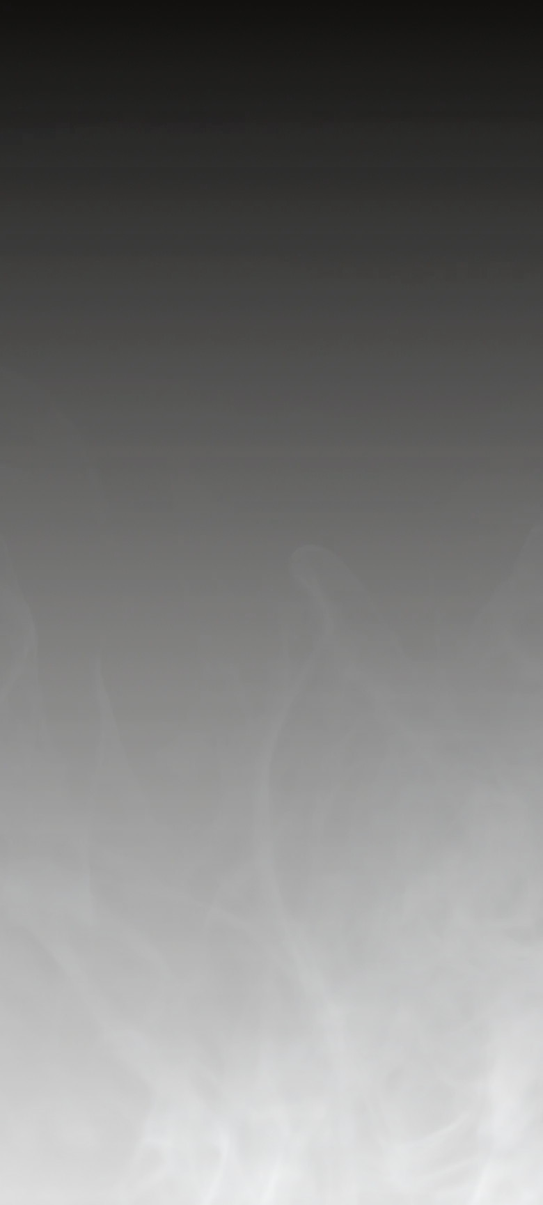 譲れない肉質黒毛和牛A5マーブリング10